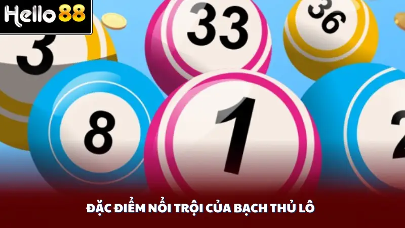 Đặc điểm nổi trội của bạch thủ lô