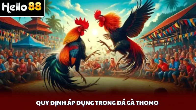 Quy định áp dụng trong đá gà Thomo